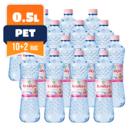 Aquatique plata PET 0.5 L, 10+2 Gratis bax