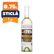 Oprisor Caloian Cabernet Sauvignon Sec Alb 0.75L