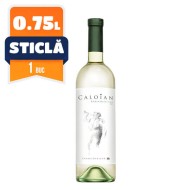 Oprisor Caloian Rhein Riesling Sec Alb 0.75 L