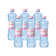 Aquatique plata pet 1 L, 6 buc/bax